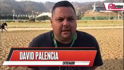 Entrenador David Palencia comparte sus mejores consejos ⚽