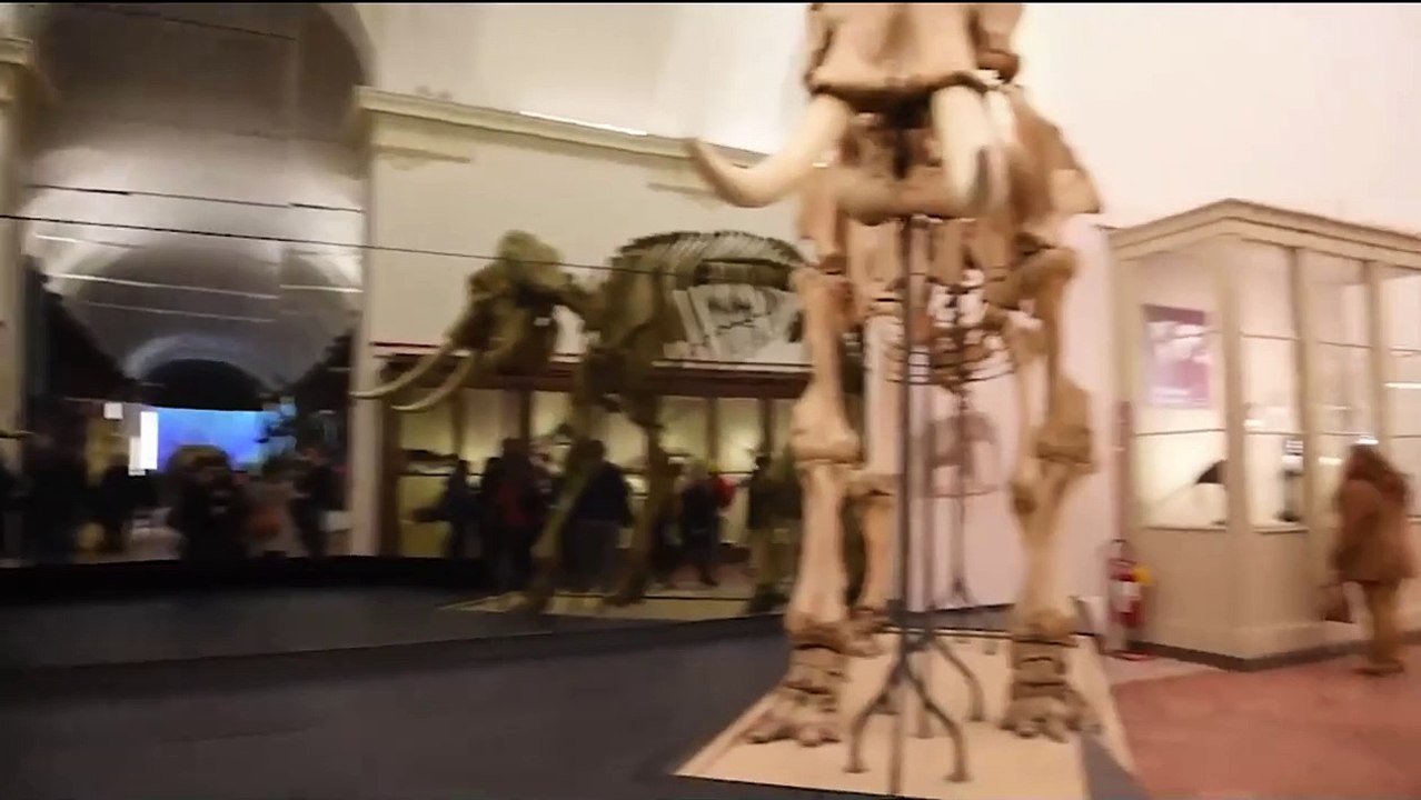 Torino, una passeggiata nel Museo Regionale delle Scienze, riaperto dopo l'incendio del 2013