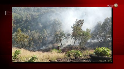 Primer incendio en el Área Protegida del Bosque de La Primavera: pese a alambrado de por medio