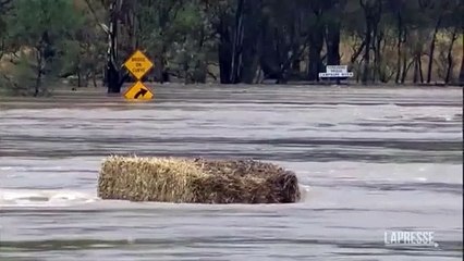 Australia, lo Stato di Victoria colpito dall'alluvione