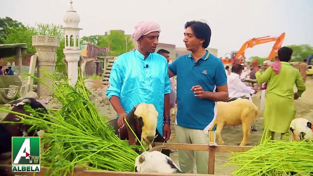 Goga Pasroori as Bakra Beyopari and Saleem Albela Customer - Funny Video from Albela Tv Presentation