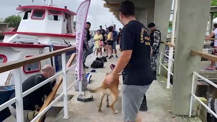 Operação Netuno fecha o cerco em Paranaguá buscando impedir chegada e saída de drogas aos navios