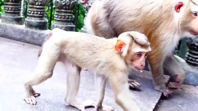 Rockstar Growing Up, But Juvenile Boy Still Need Milk From Rozy Mom (720p_25fps_H264-192kbit_AAC)