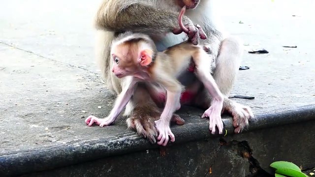 Rockstar Plays Really Cute Under Controlling Of His Mother Rozy (720p_25fps_H264-192kbit_AAC)