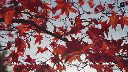 Carta de San Felipe de Jesús a sus padres antes de morir