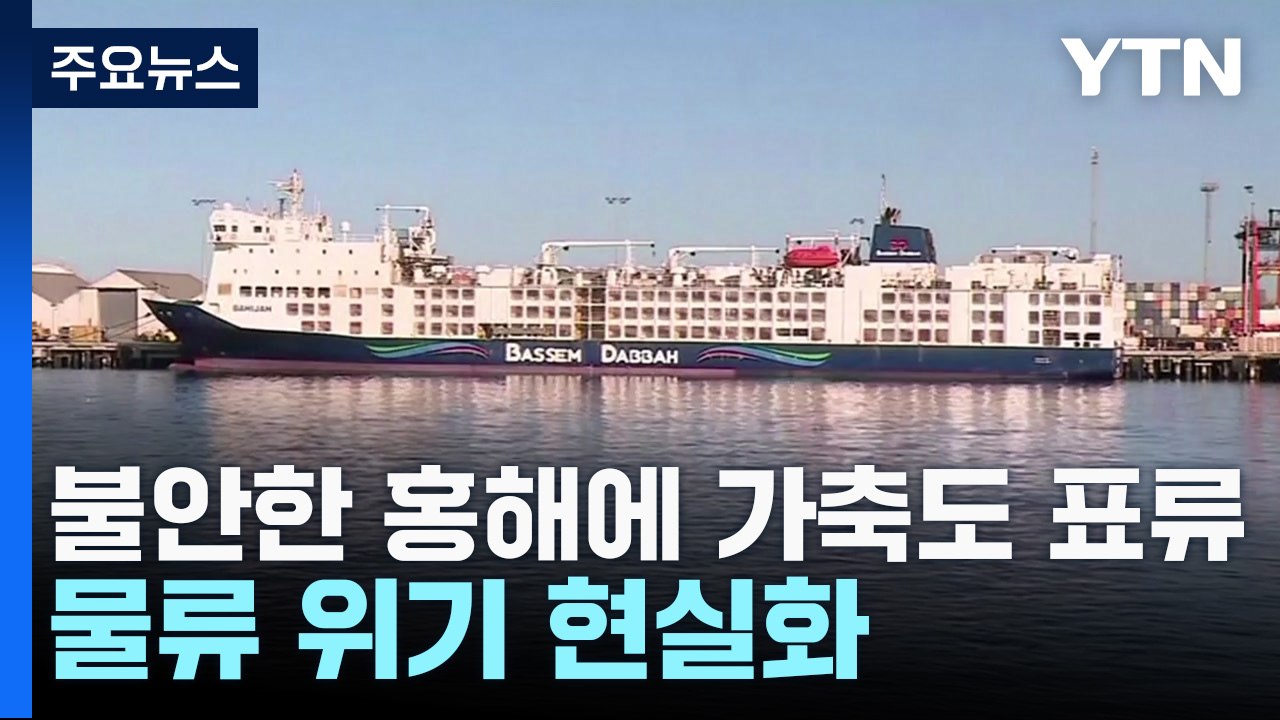불안한 홍해에 동물도 표류...물류 위기 현실화 / YTN
