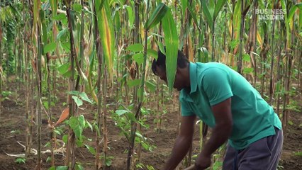 Plunging 2,000 feet underground for a critical mineral — graphite