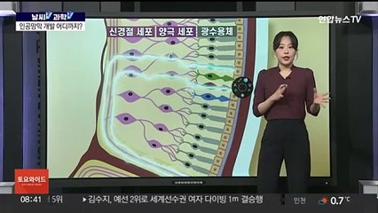 [날씨쏙 과학쏙] 시각장애인 새로운 눈 되어줄 '인공망막' 기술, 어디까지 왔을까?