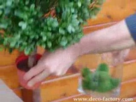 Buis artificiel sur Deco Factory