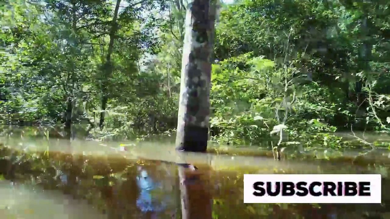 "Unveiling the Lost Valley: A 2500-Year Enigma Revealed"