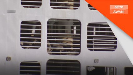 Nasib 16,000 kambing, lembu ternakan terumbang ambing di atas kapal