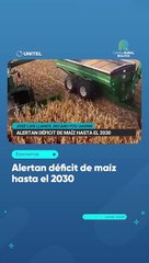 Alertan déficit de maíz hasta el 2030