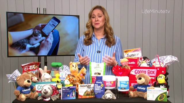 The Veterinary Expert in Your Pocket: Pet Health and Wellness with Chewy