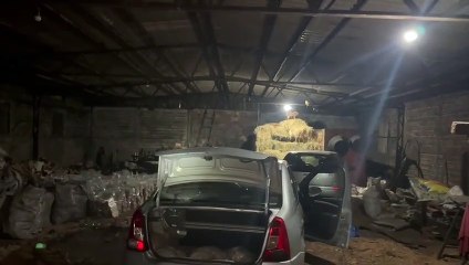 Polícia apreende 300 quilos de maconha na área rural de Cascavel