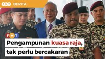 Pengampunan kuasa raja, parti tak perlu ‘tembak’ rakan, pesan penganalisis