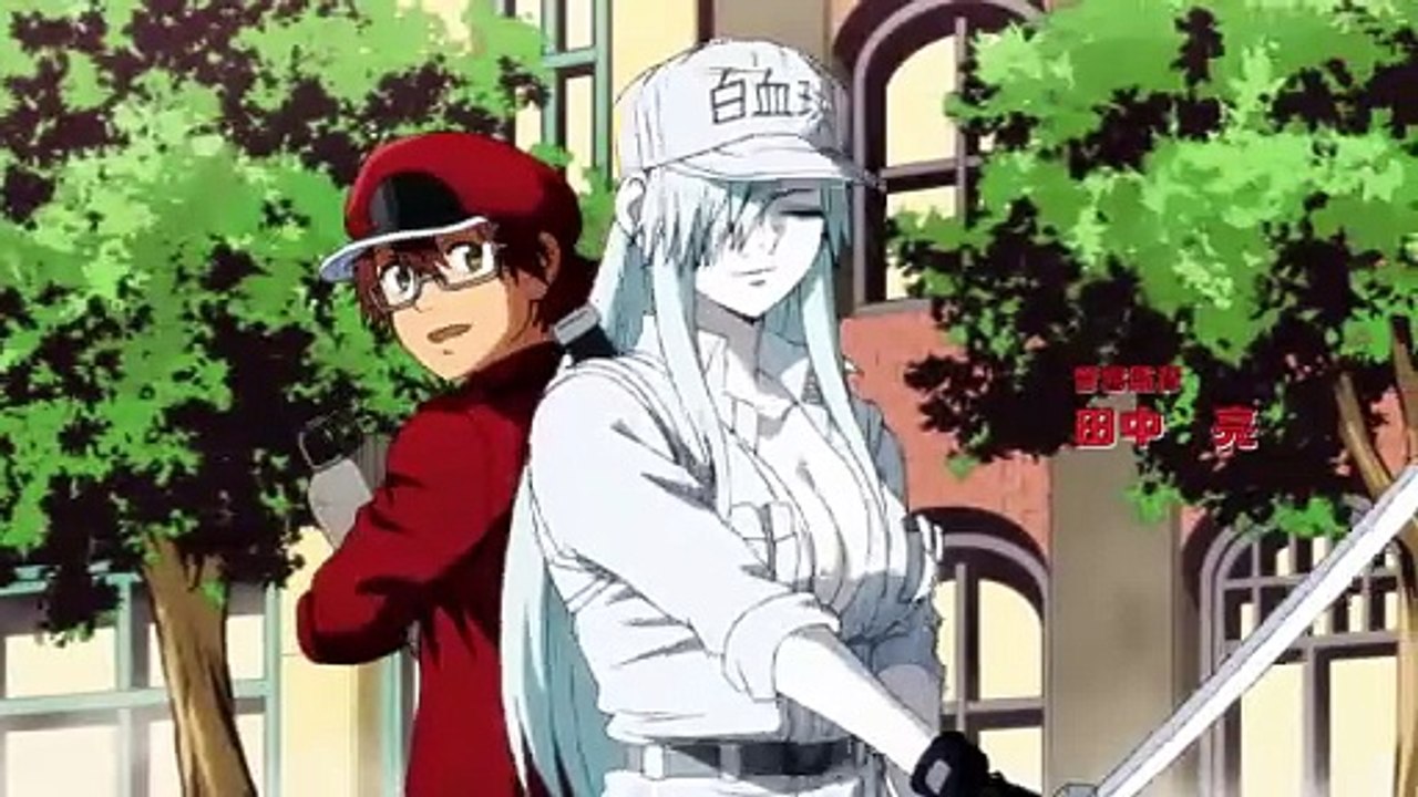 Hataraku Saibou Black - 4