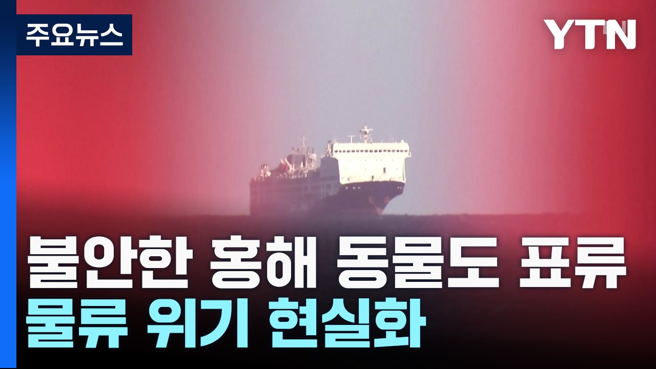 불안한 홍해에 동물도 표류...물류 위기 현실화 / YTN