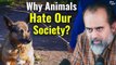 Why Animals Hate Our Society? || Acharya Prashant (2019)