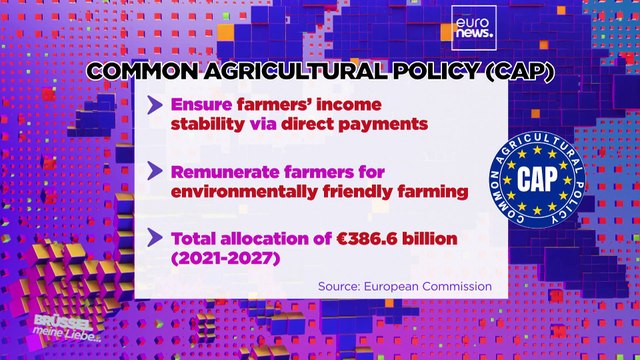 Brussels, my love? Furious farmers storm EU quarter in Brussels
