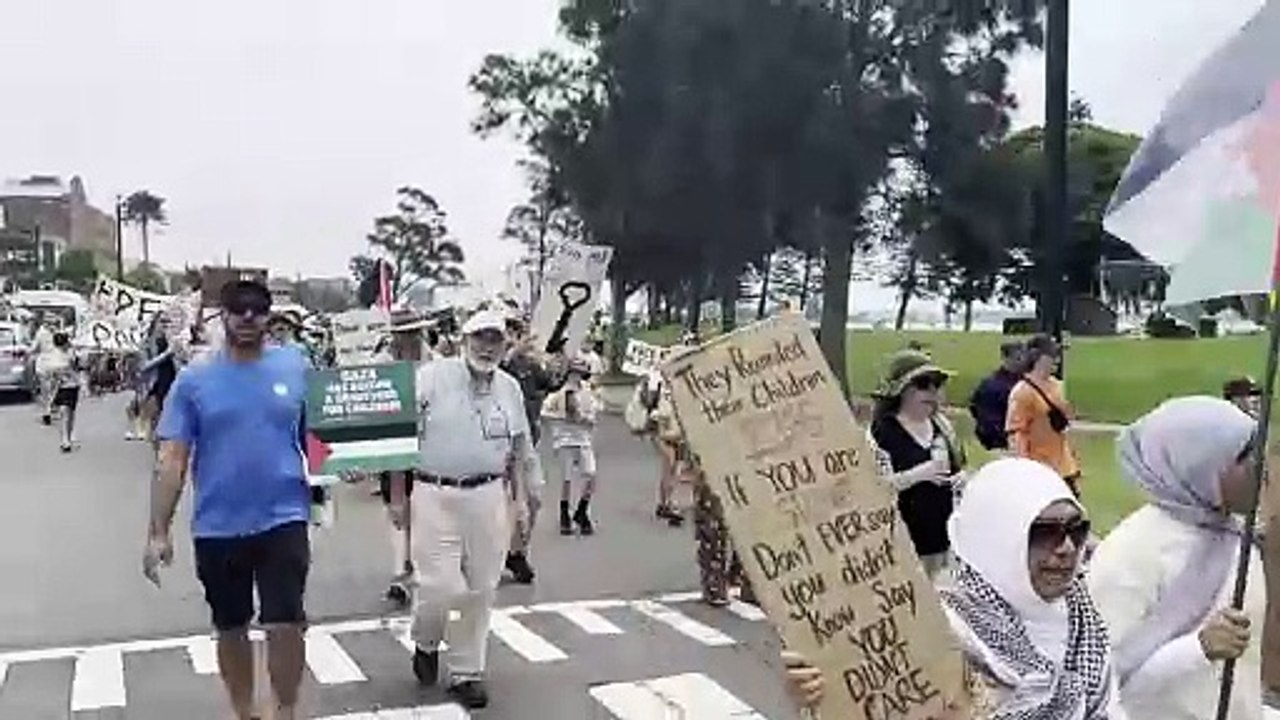 Protestors stage Palestine support rally in Newcastle | Newcastle Herald | February 3, 2024