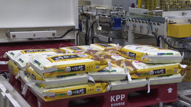 미국서 호평받은 '임금님표이천쌀'...3년 연속 수출길 / YTN