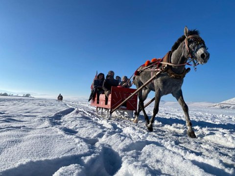 Buz tutan Çıldır Gölü'nde atlı kızak heyecanı