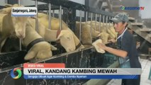 Viral Kandang Kambing Mewah, Mirip Bangunan Elit