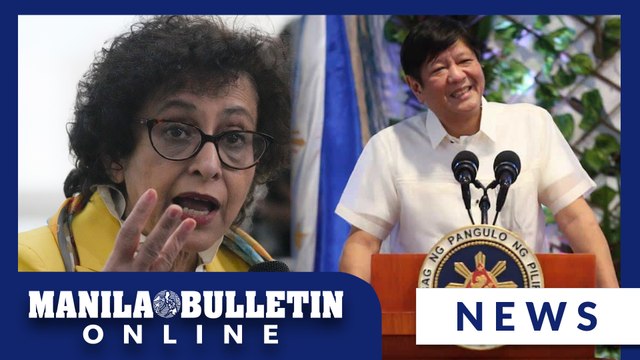 UN expert says more needs to be done to address human rights abuses in the Philippines