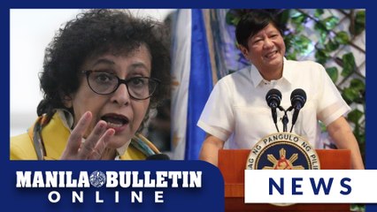 UN expert says more needs to be done to address human rights abuses in the Philippines