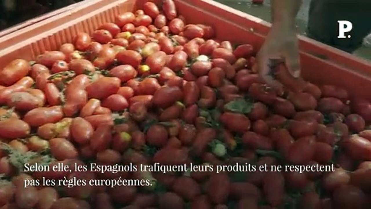Quand Ségolène Royal se prend les pieds dans le gaspacho (bio)