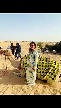 Camel ride in desert safari Dubai, Dubai desert tour