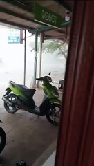 Diterpa Angin Kencang, 2 Pohon Albasiah Tumbang, 14 Bangunan di Cinagara RusakKUNINGAN (MASS) - Dua pohon albasiah berdiameter 50 cm tumbang pasca diterpa angin kencang dan hujan, Rabu (24-1-2024) siang ini. Bukan hanya pohon, ada 14 b