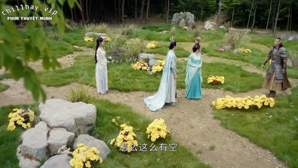 Lăng Vân Chí - Đại Bát Hầu Tập 28 Thuyết Minh