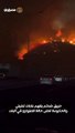 حريق ضخم يلتهم غابات تشيلي والحكومة تعلن حالة الطوارئ في البلاد