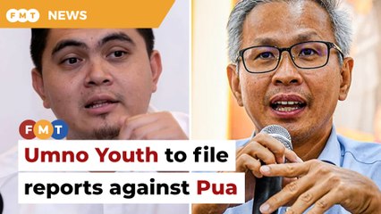 Umno Youth to file reports against Pua over FB posts