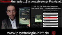 Der Geist kann vergessen - der Körper aber nicht - Teil 3 Traumatherapie