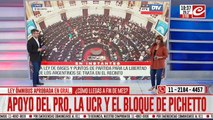Ley Ómnibus: ¿qué es lo que se votó en el Congreso?