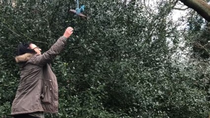 Curious doggo swings for embarrassment after watching hooman having fun