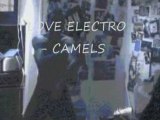 CAMELS-ELECTRO