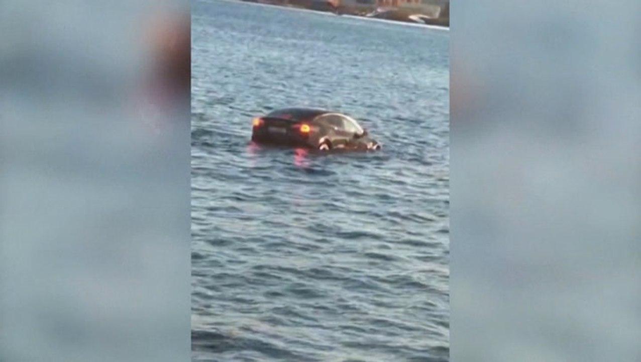 Floating sauna saves Tesla passengers who fell into Oslo fjord