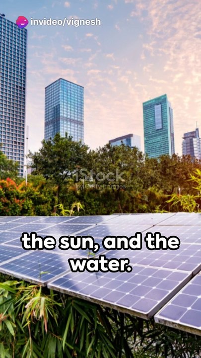 The Power of Renewable Energy Sources
