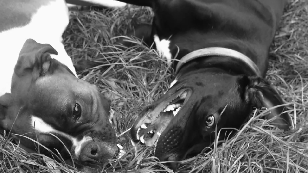 L a r s j o r d a n - `viktoria vom grunewald` // www.larsjordan.com