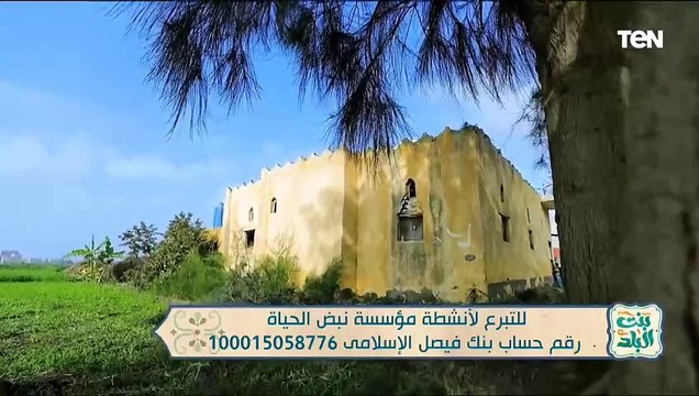 لقاء مع الداعية محمد رضا للحديث عن أبرز جهود مؤسسة نبض الحياة | بنت البلد