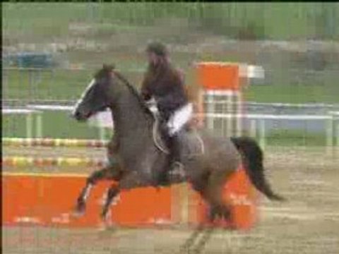 Percute du Murger - Chalamont 2