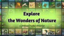 About This Channel - An invitation to join our community of nature enthusiasts.