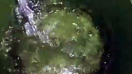 Water as the Source of Life