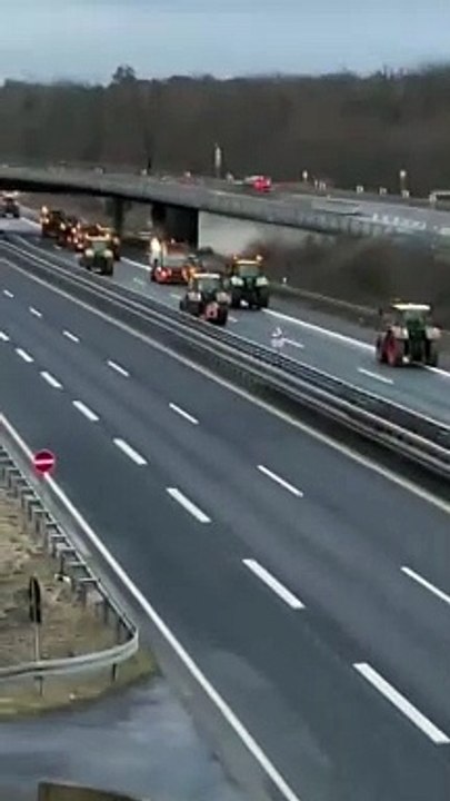 Pendant ce temps, en Allemagne, un millier de tracteurs agricoles bloquent le plus grand aéroport d'Allemagne à Francfort.