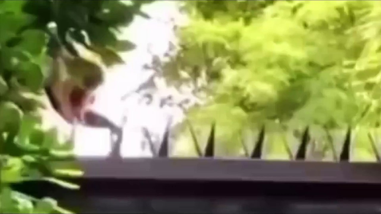 meme funny 1