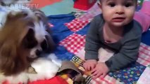 Bébés mignons jouant avec des chiens et des chats(360P)