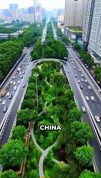 Craziest City On Earth! 